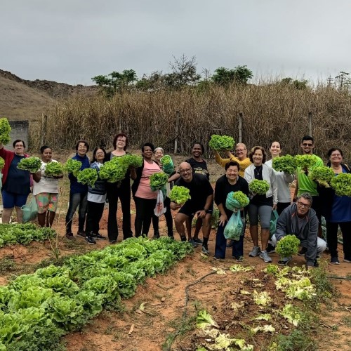 Horta comunitária do bairro Brasilândia realiza primeira colheita em Volta Redonda